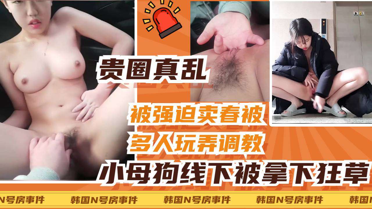 [SSNI-888] 清;纯校花被老司机线下拿下，车震爆操😛--🤗狂扣🤒骚穴内射